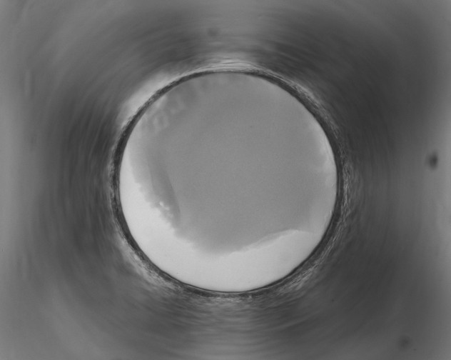 X0000115121422200912081334