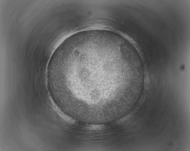 X0000115121423200912081334