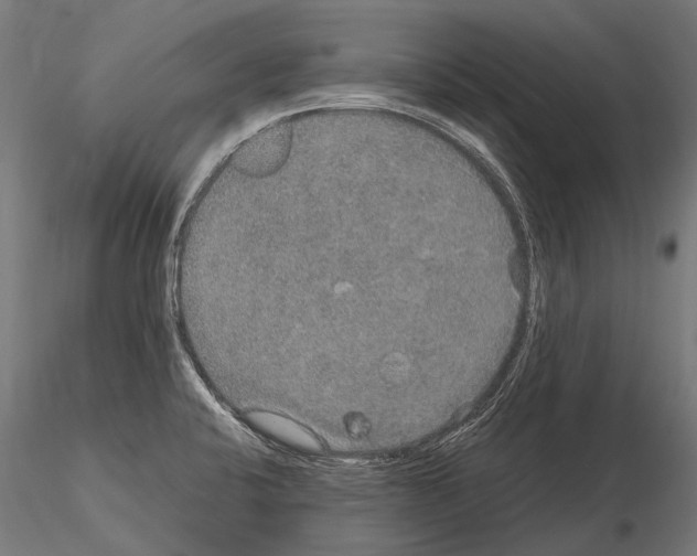 X0000115121424200912081334