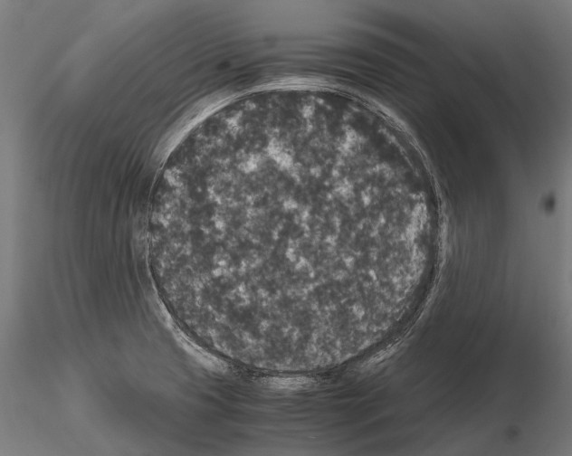 X0000115121425200912081334