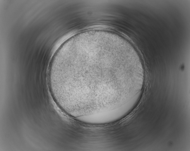 X0000115121426200912081334