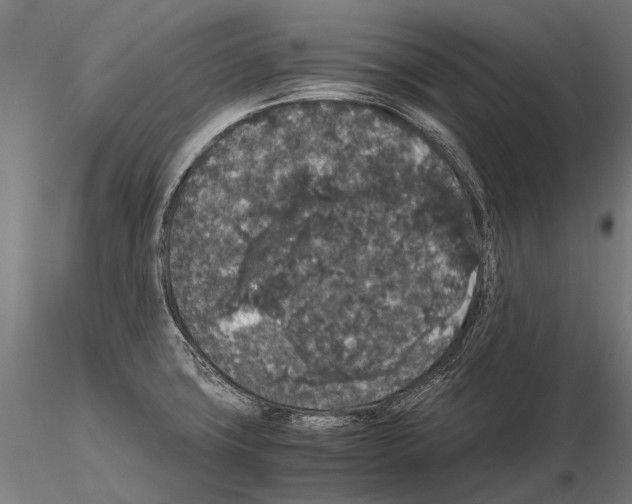 X0000115121427200912081334