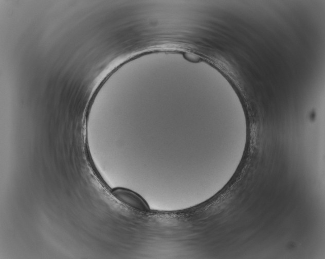 X0000115121428200912081334