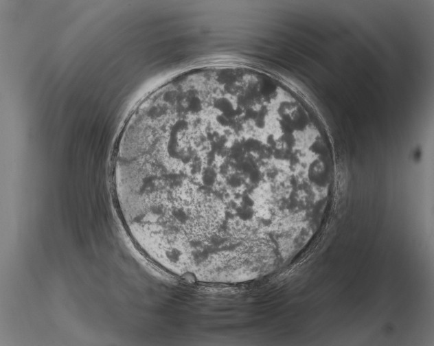 X0000115121429200912081334