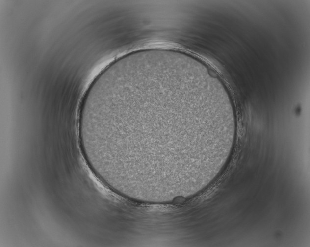 X0000115121430200912081334