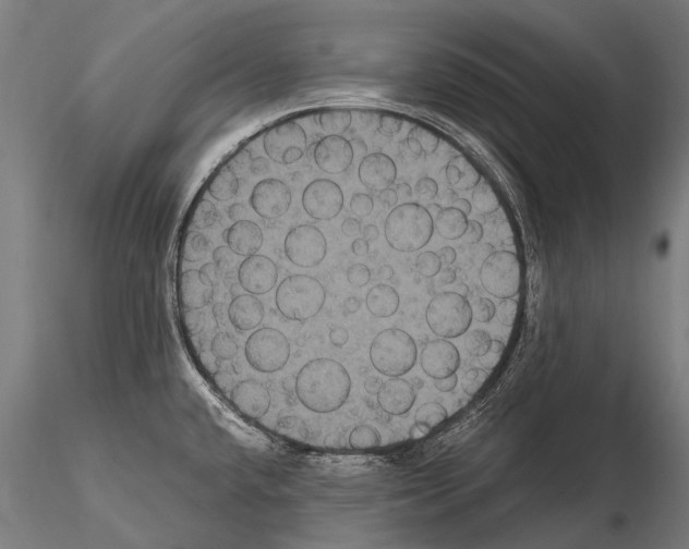 X0000115121432200912081334