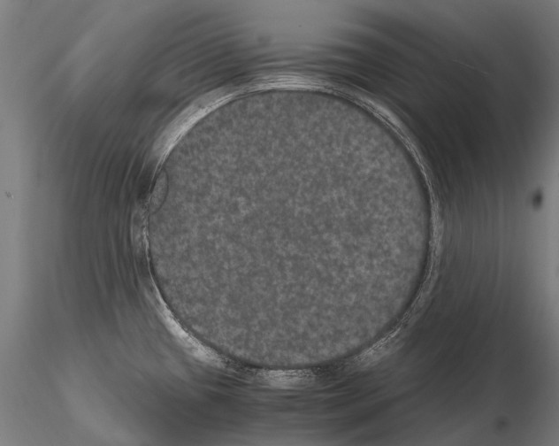 X0000115121433200912081334