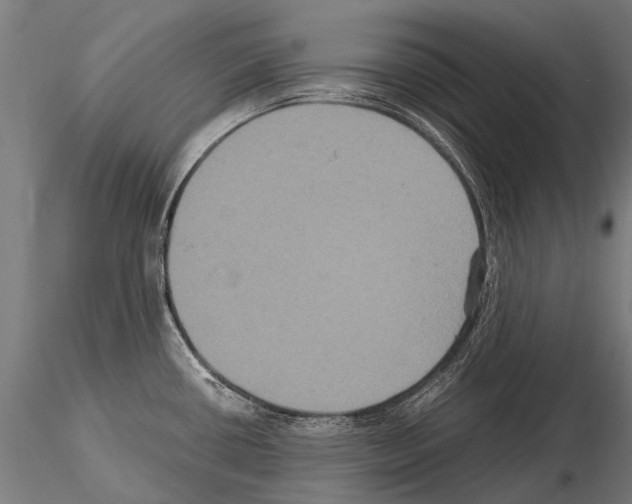 X0000115121434200912081334