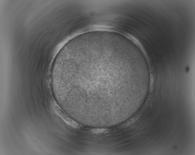 X0000115121435200912081334