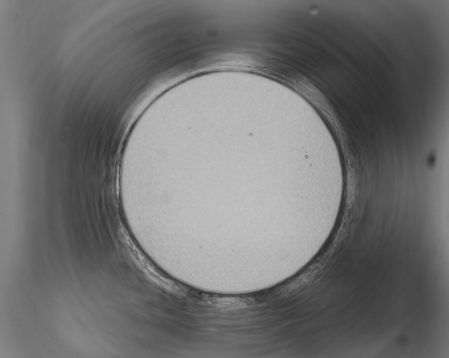 X0000115121436200912081334