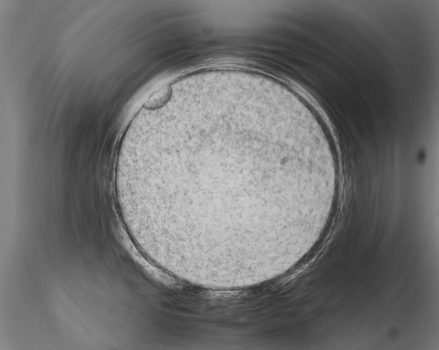 X0000115121437200912081334