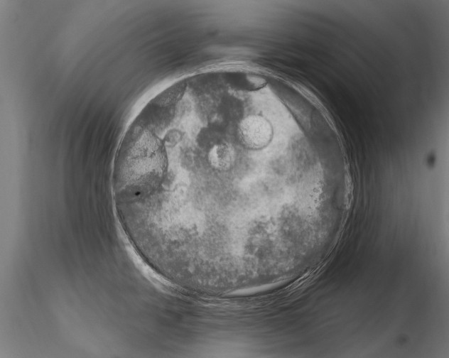 X0000115121438200912081334