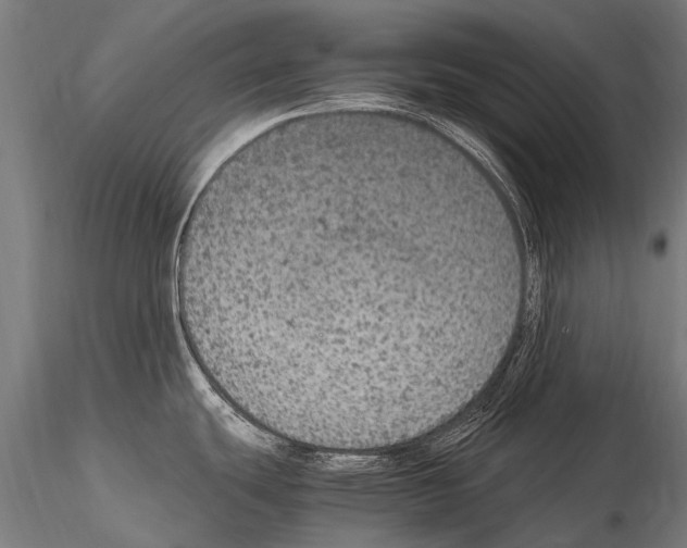 X0000115121439200912081334