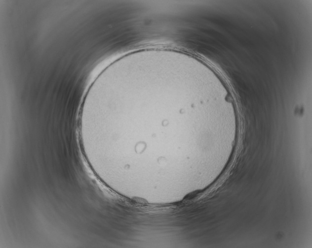 X0000115121440200912081334