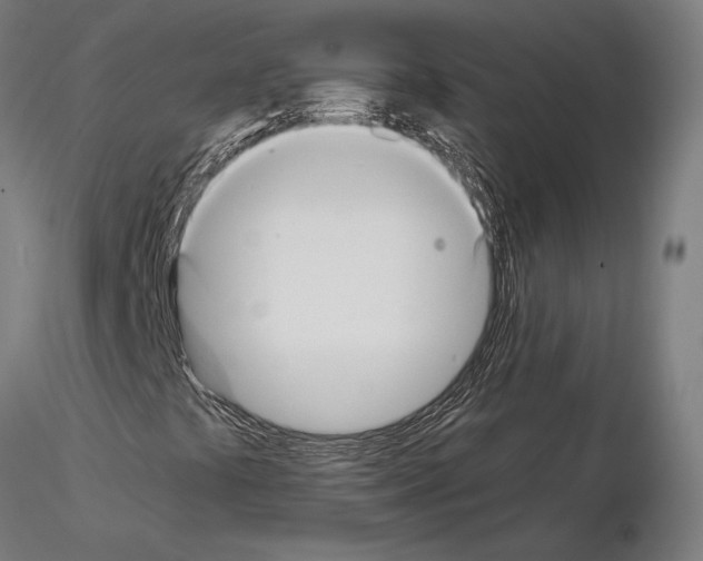 X0000115121441200912081334