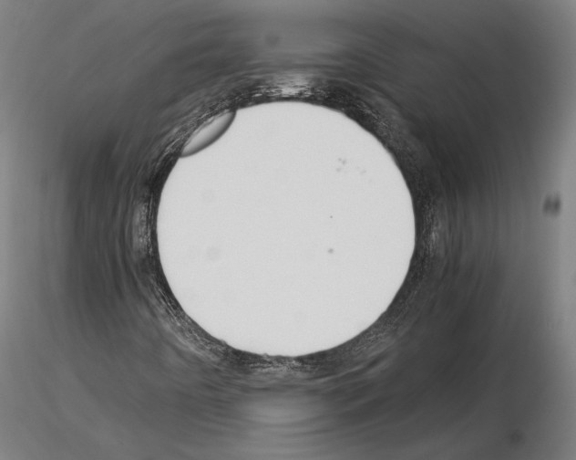 X0000115121442200912081334