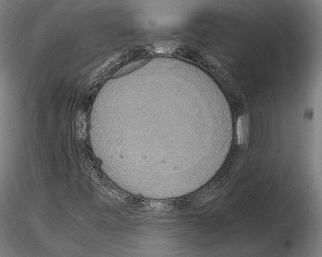 X0000115121443200912081334