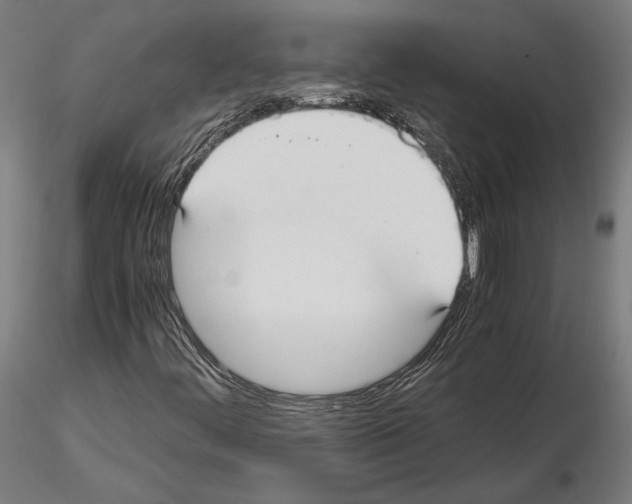 X0000115121444200912081333