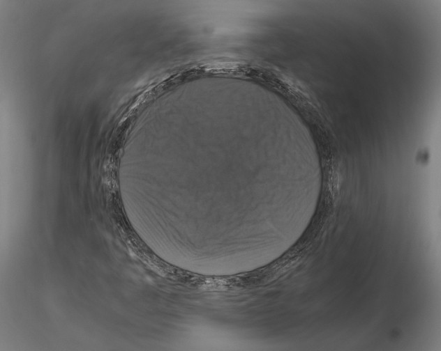 X0000115121445200912081333