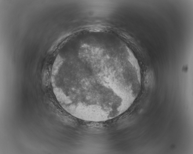 X0000115121446200912081333