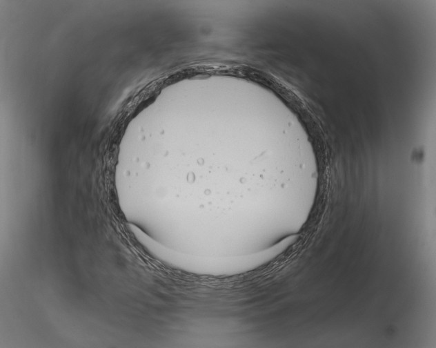 X0000115121447200912081333