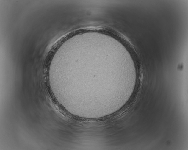 X0000115121448200912081333