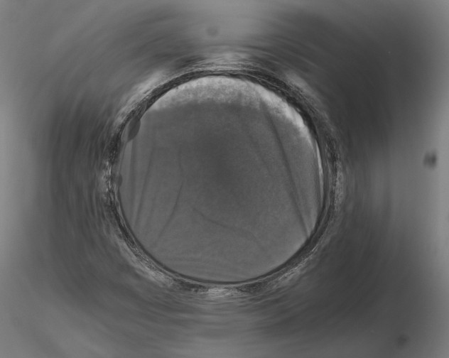 X0000115121449200912081333