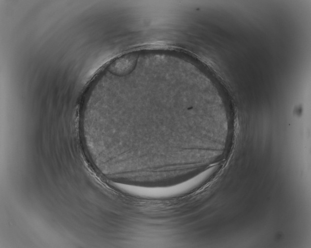 X0000115121450200912081333