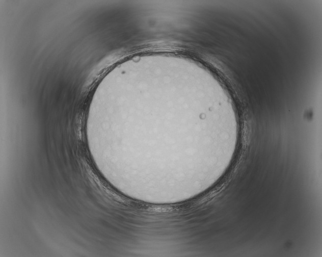 X0000115121451200912081333