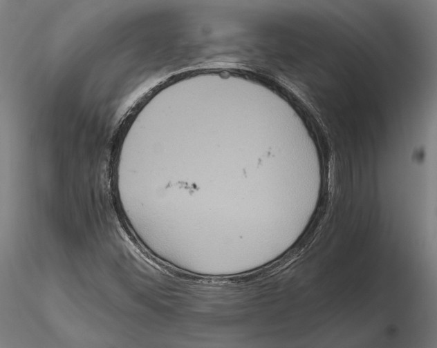 X0000115121452200912081333