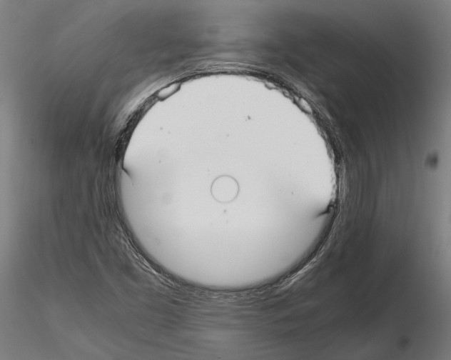 X0000115121453200912081333