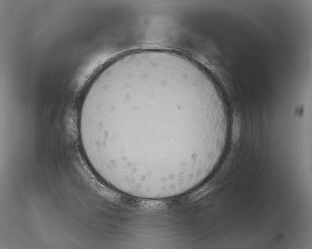 X0000115121454200912081333