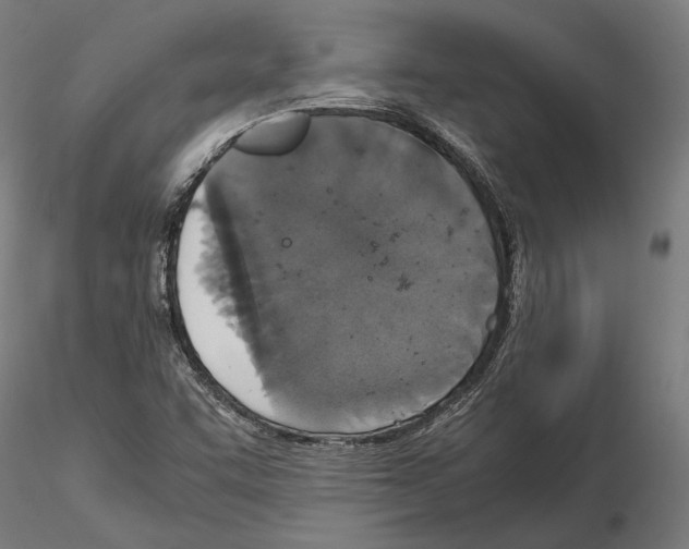 X0000115121455200912081333