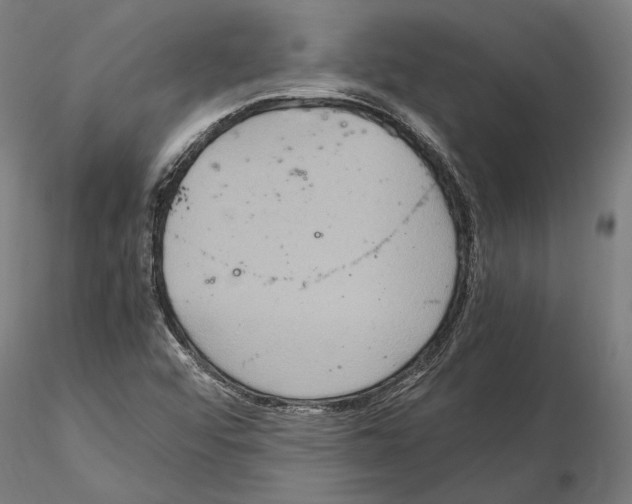 X0000115121456200912081333