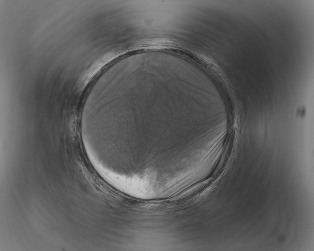 X0000115121457200912081333