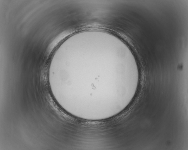 X0000115121458200912081333