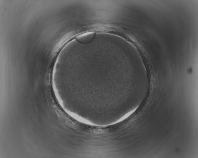 X0000115121459200912081333