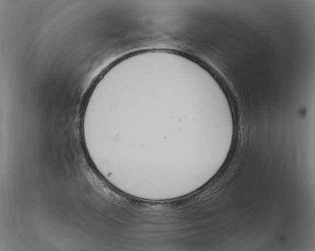 X0000115121460200912081333