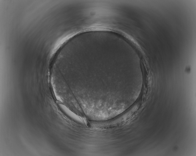 X0000115121461200912081333