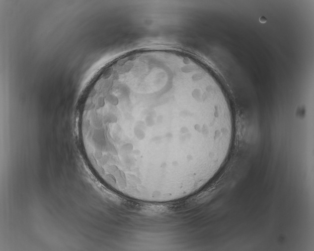 X0000115121462200912081333