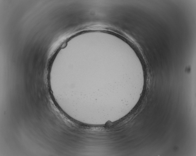 X0000115121464200912081333