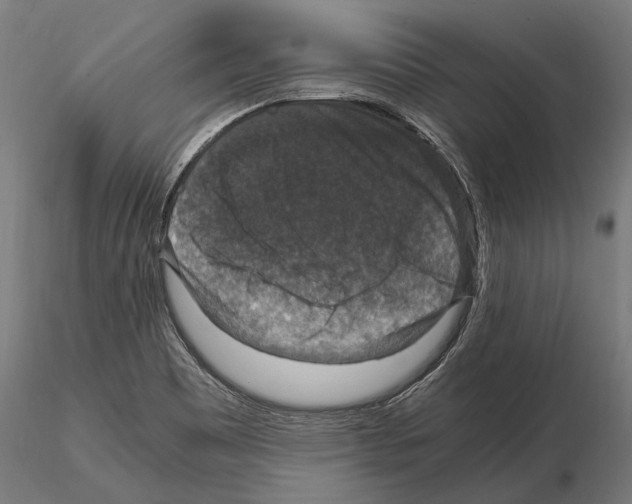 X0000115121465200912081333