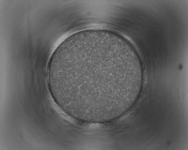 X0000115121467200912081333