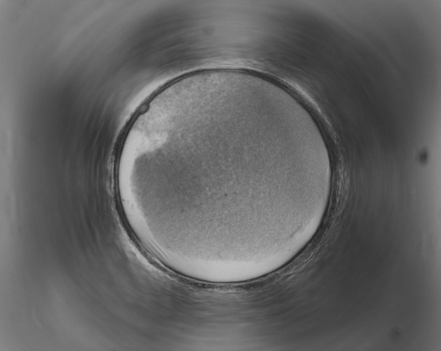 X0000115121468200912081333