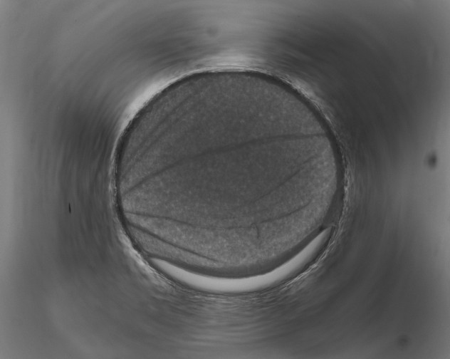 X0000115121469200912081333