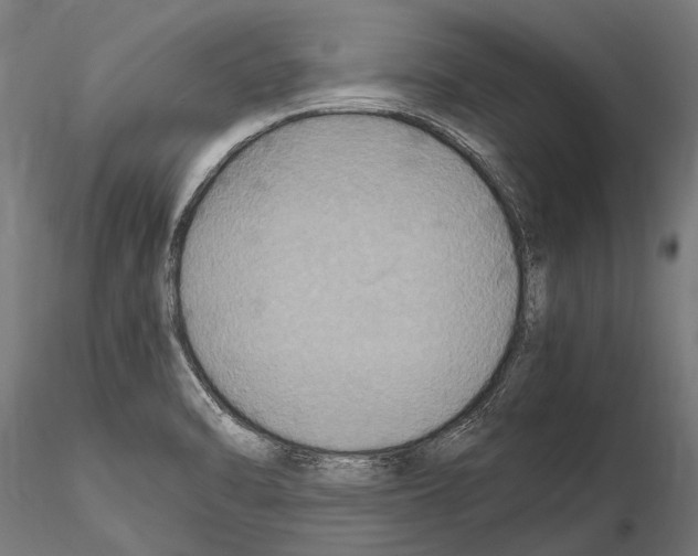 X0000115121470200912081333