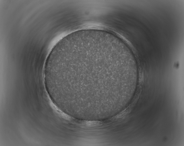 X0000115121471200912081333