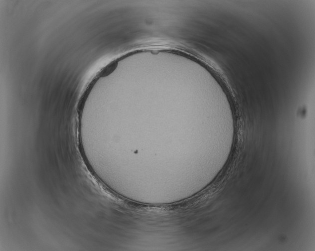 X0000115121472200912081333