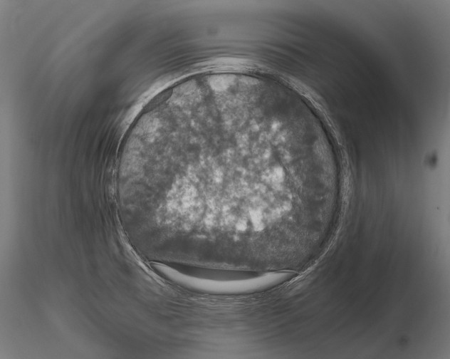 X0000115121473200912081333