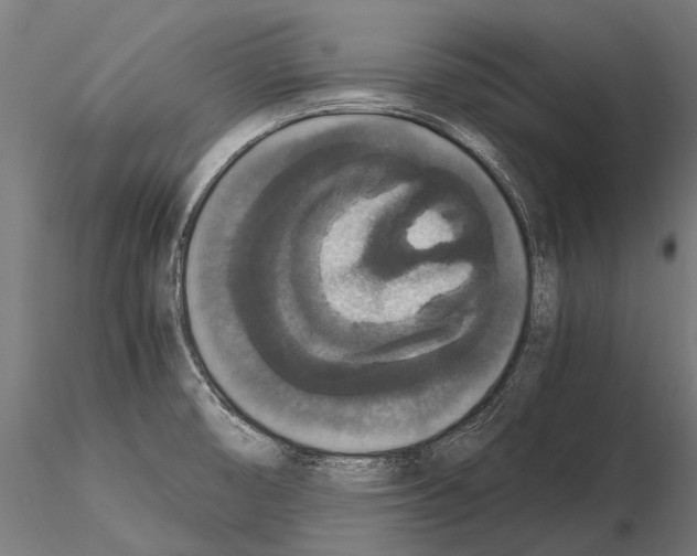 X0000115121474200912081333